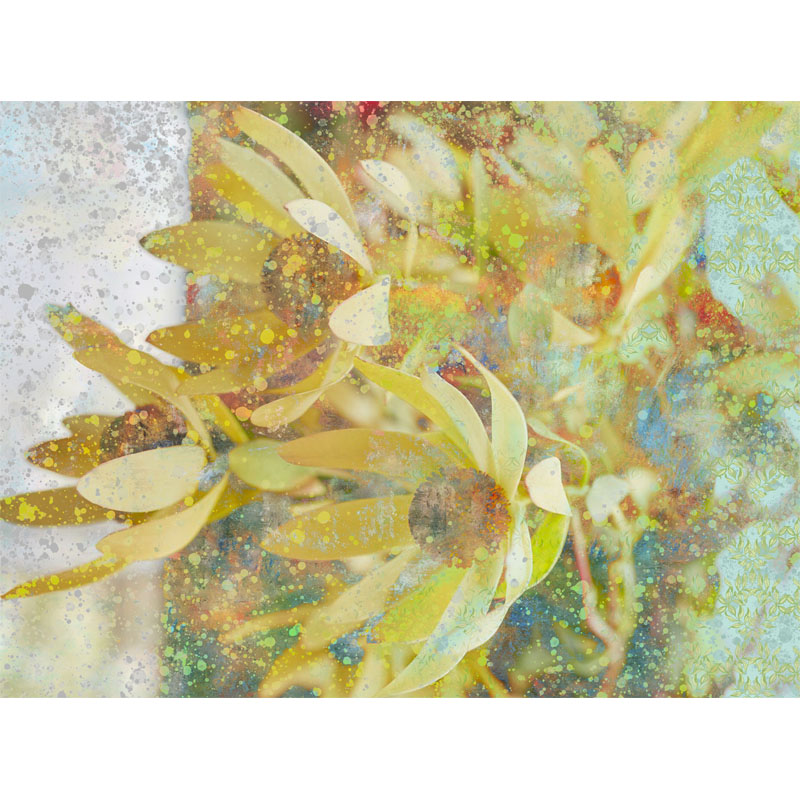 Petals of Spring Painting by Laura Lane Design